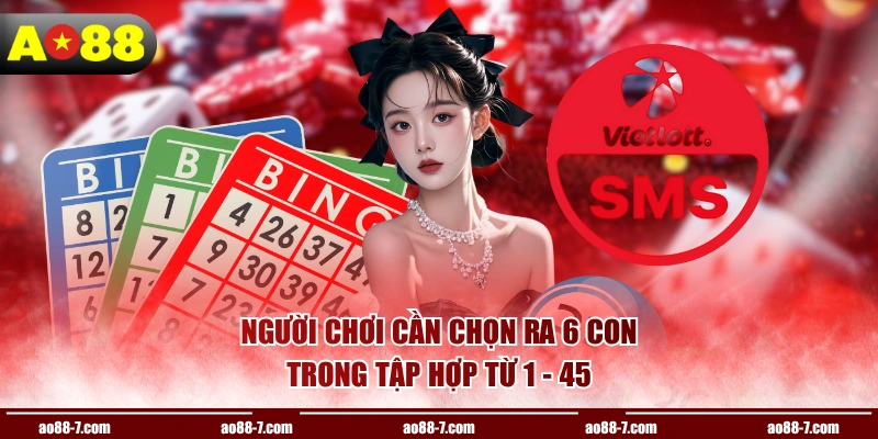 Người chơi cần chọn ra 6 con trong tập hợp từ 1 - 45 
